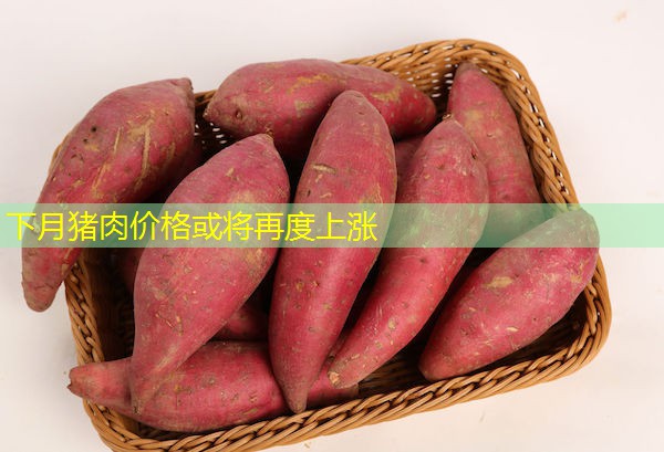 下月猪肉价格或将再度上涨