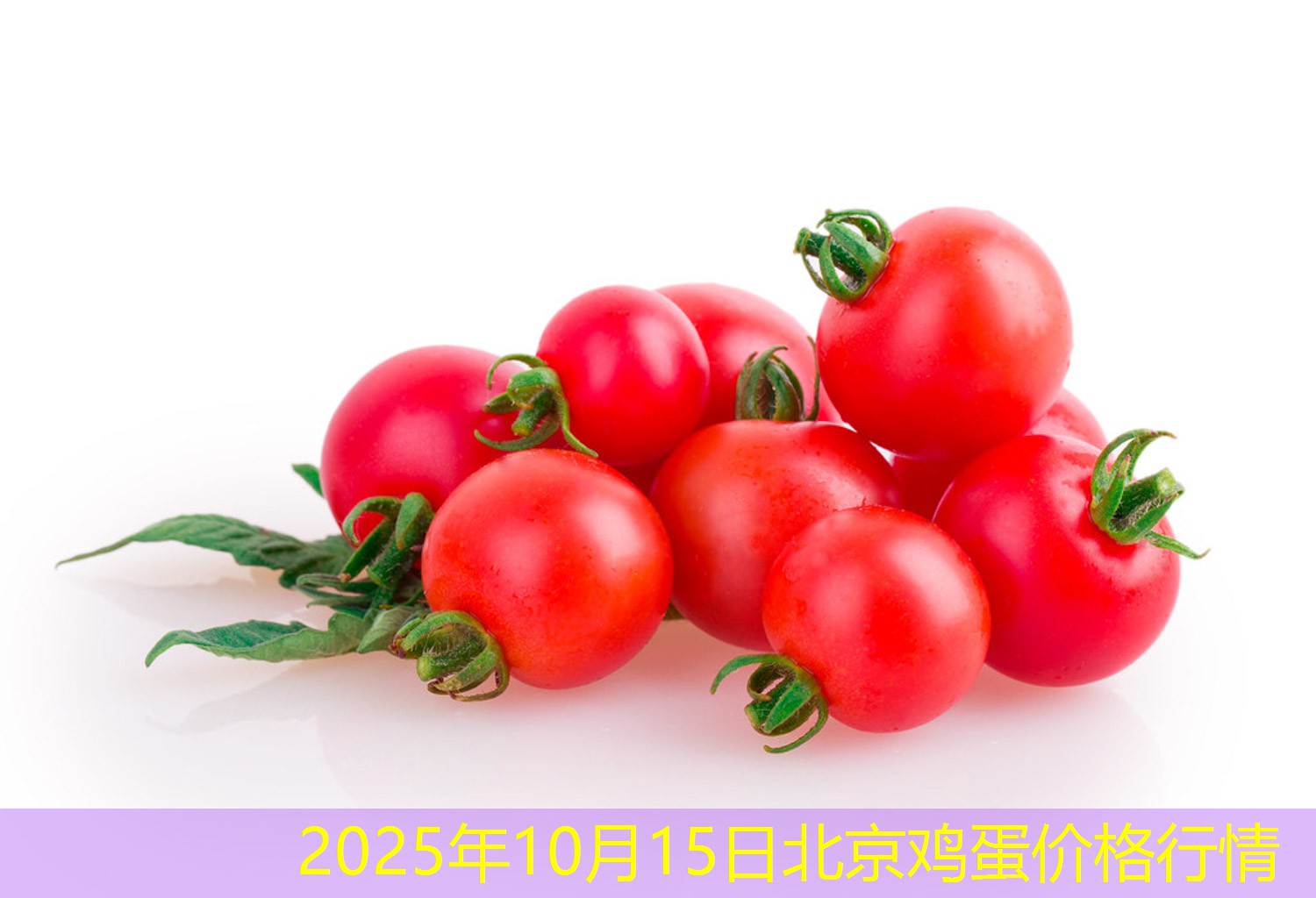 2025年10月15日北京鸡蛋价格行情