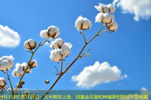 4月15日CBOT评论：玉米期货上涨，因基金买盘和种植面积预估不及预期
