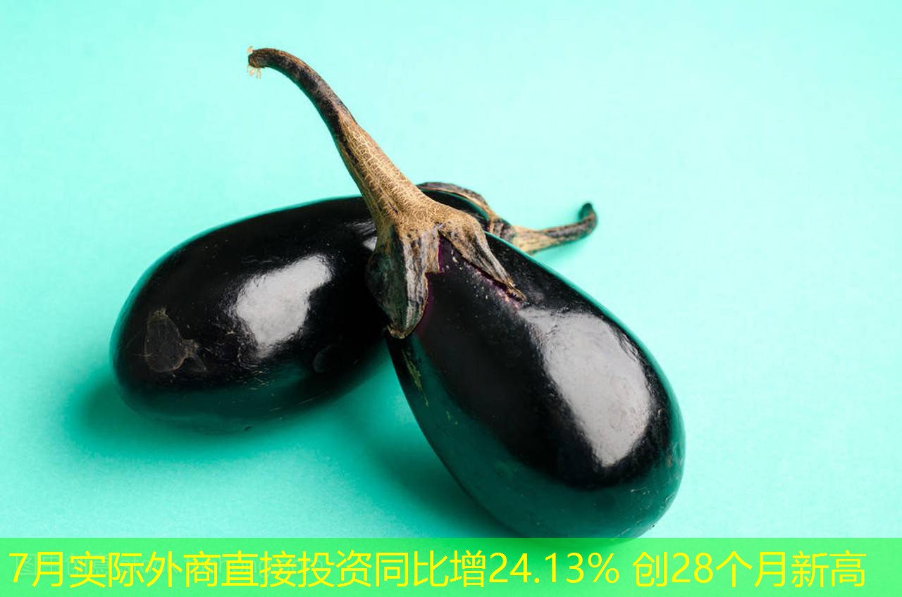 7月实际外商直接投资同比增24.13% 创28个月新高