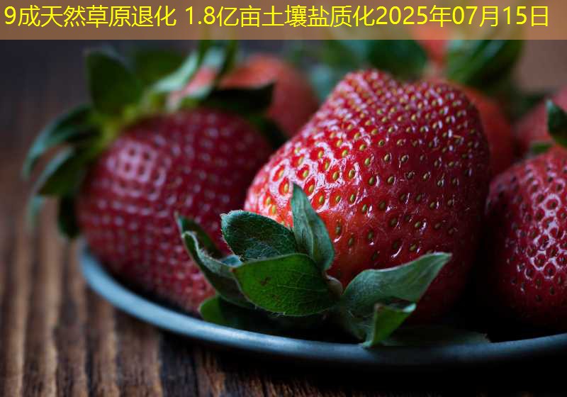 9成天然草原退化 1.8亿亩土壤盐质化2025年07月15日