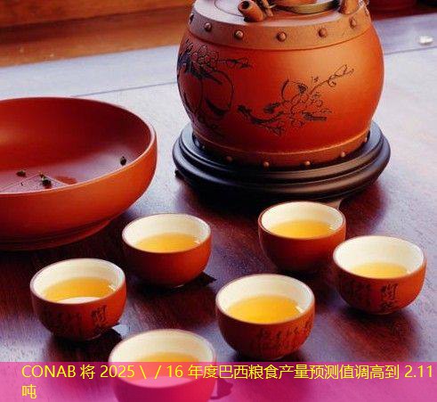 CONAB 将 2025＼／16 年度巴西粮食产量预测值调高到 2.11 亿吨