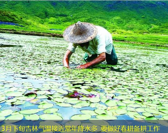 3月下旬吉林气温接近常年降水多 要做好春耕备耕工作