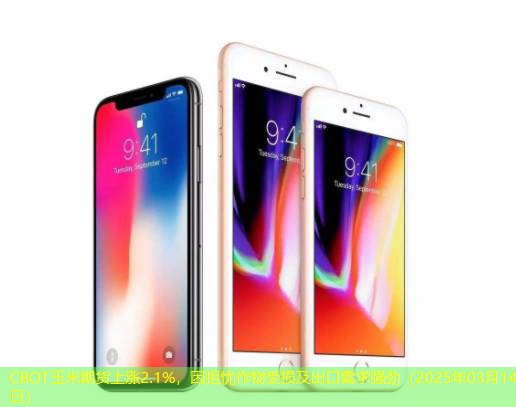 CBOT玉米期货上涨2.1%，因担忧作物受损及出口需求强劲（2025年03月14日）