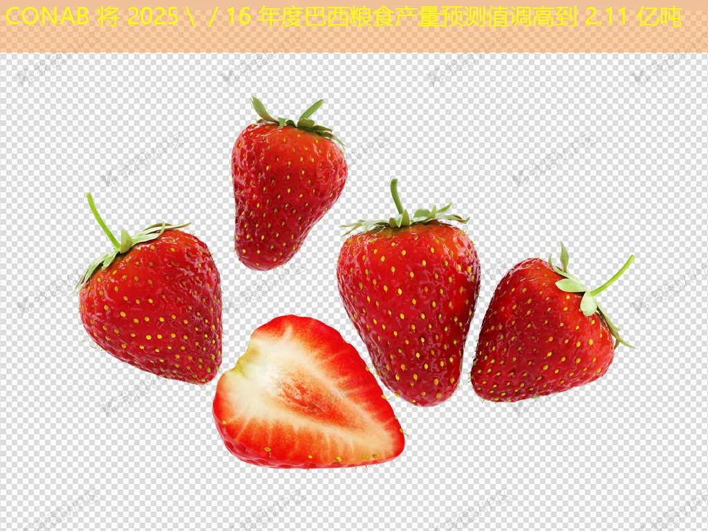 CONAB 将 2025＼／16 年度巴西粮食产量预测值调高到 2.11 亿吨