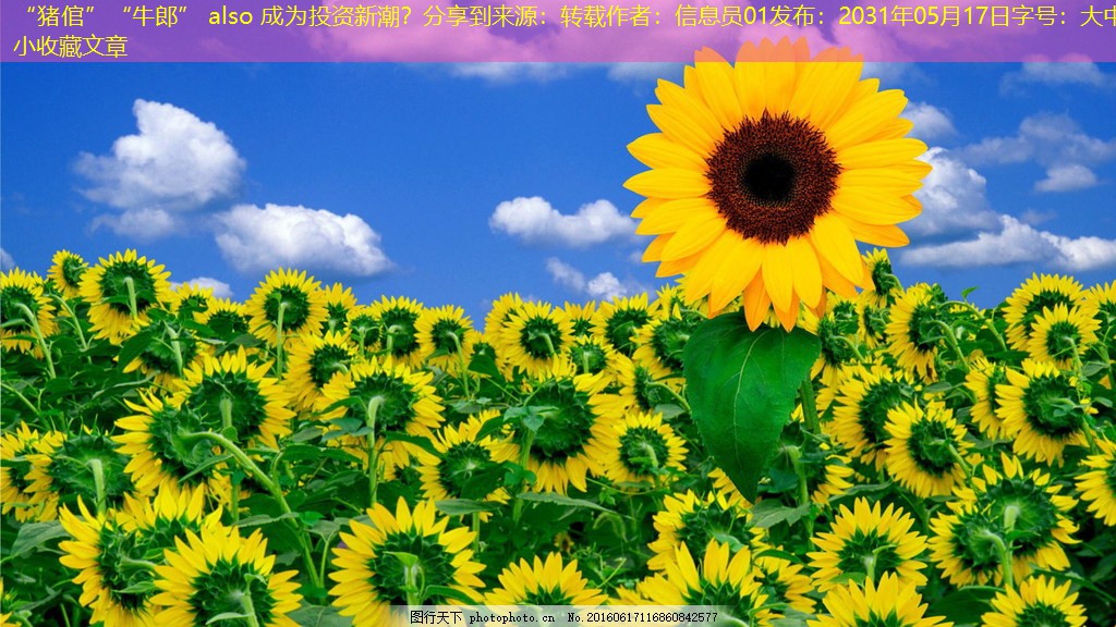 “猪倌”“牛郎” also 成为投资新潮？分享到来源：转载作者：信息员01发布：2031年05月17日字号：大中小收藏文章
