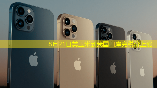 8月21日美玉米到我国口岸完税价上涨