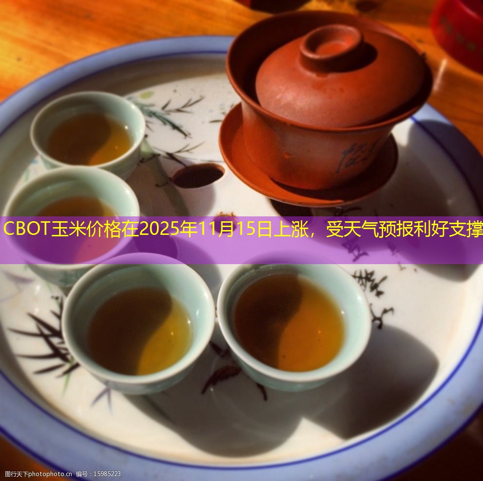 CBOT玉米价格在2025年11月15日上涨，受天气预报利好支撑