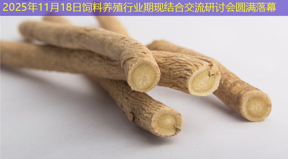 2025年11月18日饲料养殖行业期现结合交流研讨会圆满落幕