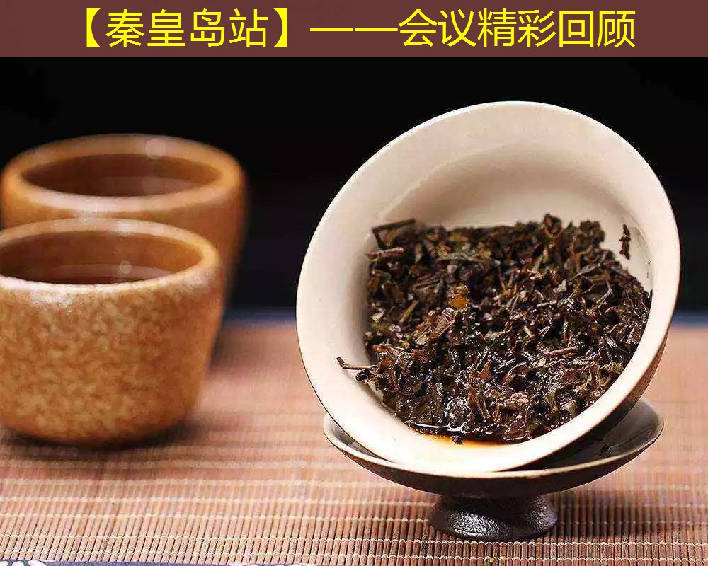 【秦皇岛站】——会议精彩回顾