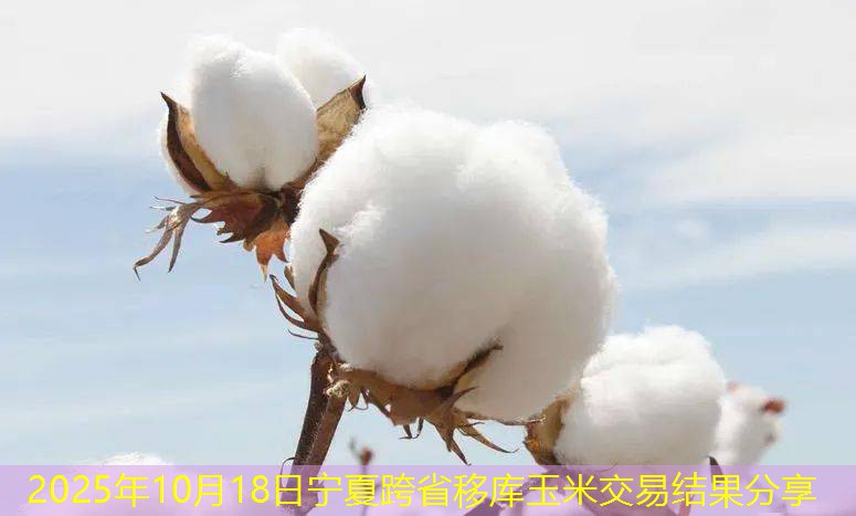 2025年10月18日宁夏跨省移库玉米交易结果分享