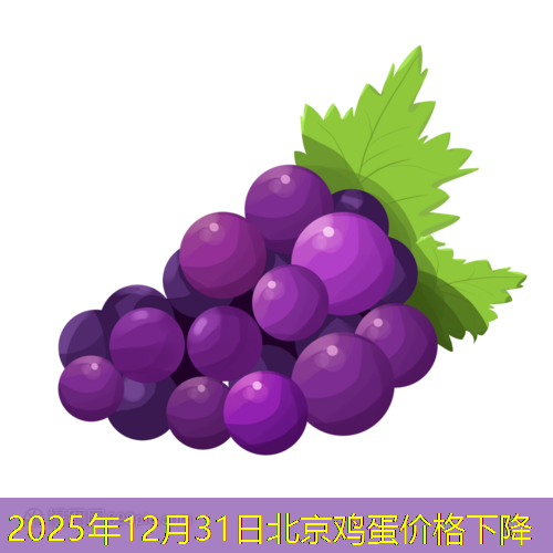 2025年12月31日北京鸡蛋价格下降