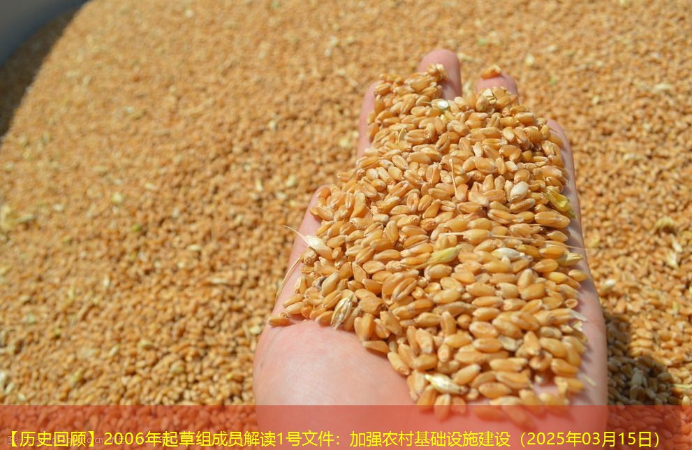 【历史回顾】2006年起草组成员解读1号文件：加强农村基础设施建设（2025年03月15日）