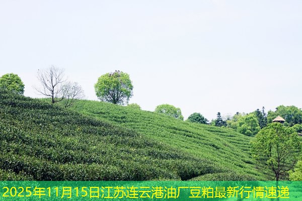 2025年11月15日江苏连云港油厂豆粕最新行情速递