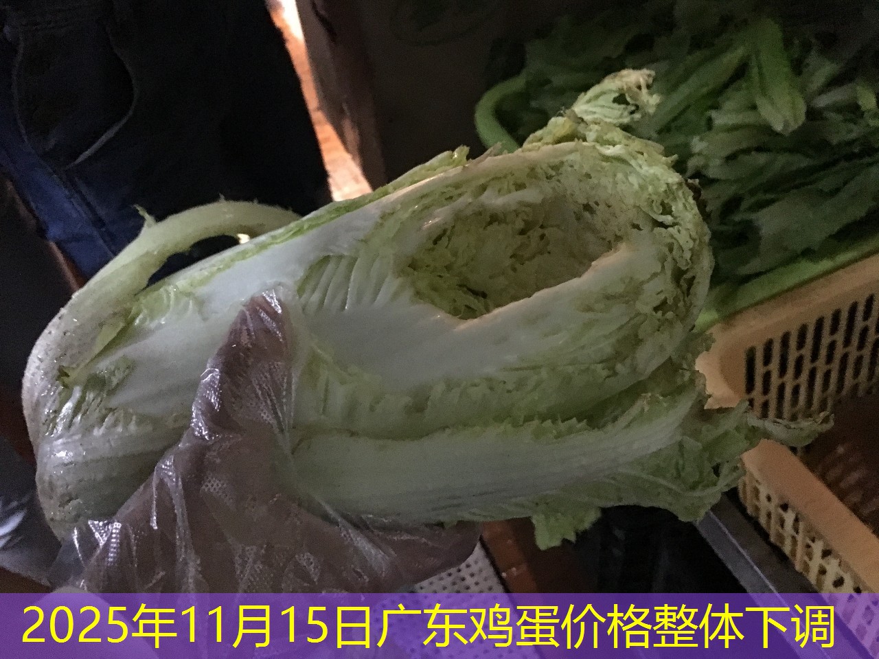 2025年11月15日广东鸡蛋价格整体下调