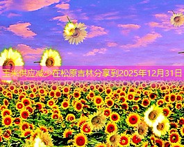 玉米供应减少在松原吉林分享到2025年12月31日