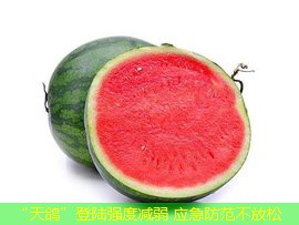 “天鸽”登陆强度减弱 应急防范不放松