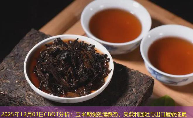 2025年12月03日CBOT分析：玉米期货延续跌势，受获利回吐与出口疲软拖累