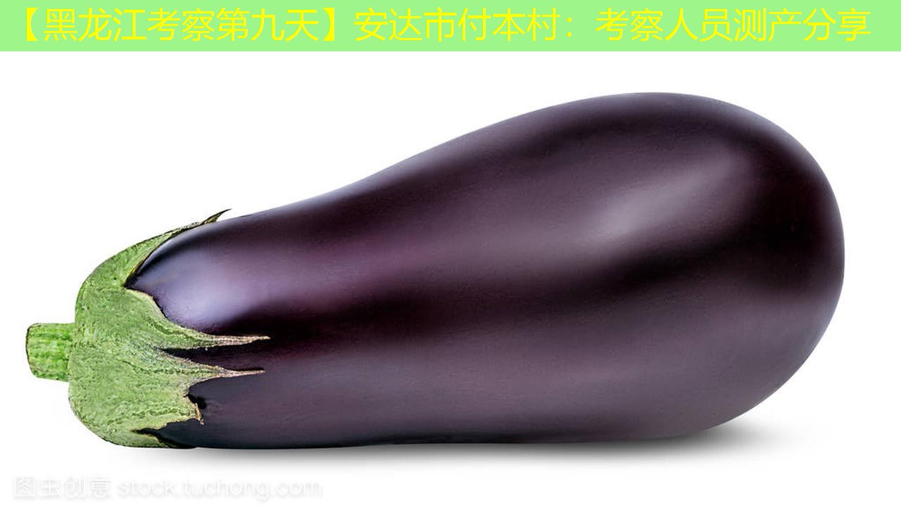 【黑龙江考察第九天】安达市付本村：考察人员测产分享