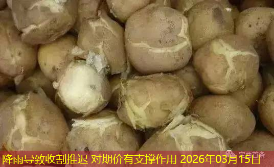降雨导致收割推迟 对期价有支撑作用 2026年03月15日
