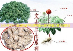 2030年7月12日超期储存和囤积玉米定向销售交易时间预估