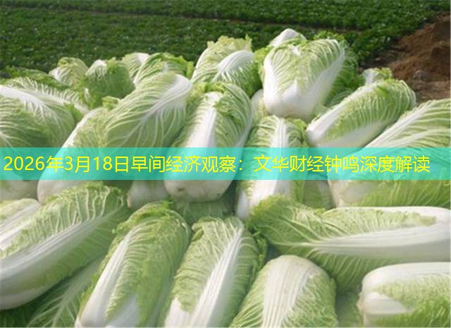 2026年3月18日早间经济观察：文华财经钟鸣深度解读
