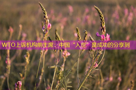 WTO上诉机构前主席：中国“入世”是成功的分享到