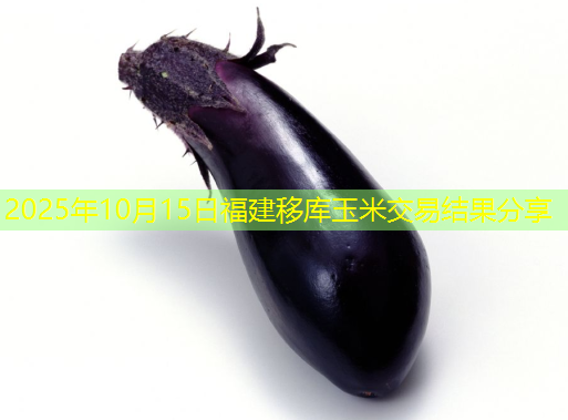 2025年10月15日福建移库玉米交易结果分享