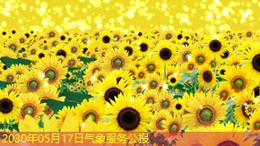 2030年05月17日气象服务公报