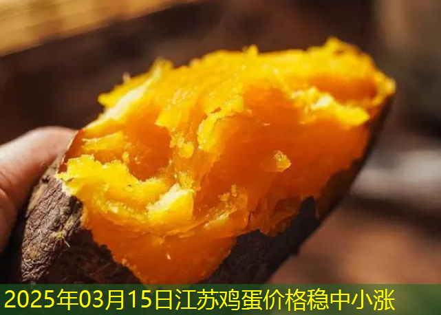 2025年03月15日江苏鸡蛋价格稳中小涨