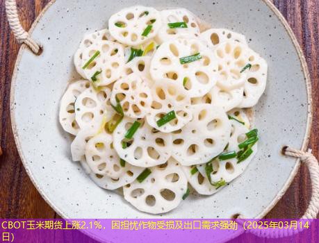 CBOT玉米期货上涨2.1%，因担忧作物受损及出口需求强劲（2025年03月14日）