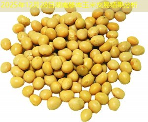 2025年12月28日湖南移库玉米交易结果分析