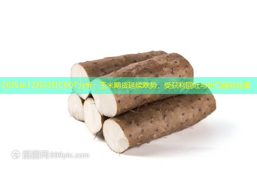 2025年12月03日CBOT分析：玉米期货延续跌势，受获利回吐与出口疲软拖累