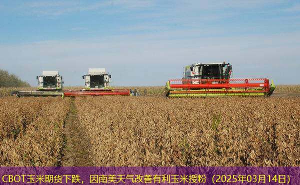 CBOT玉米期货下跌，因南美天气改善有利玉米授粉（2025年03月14日）