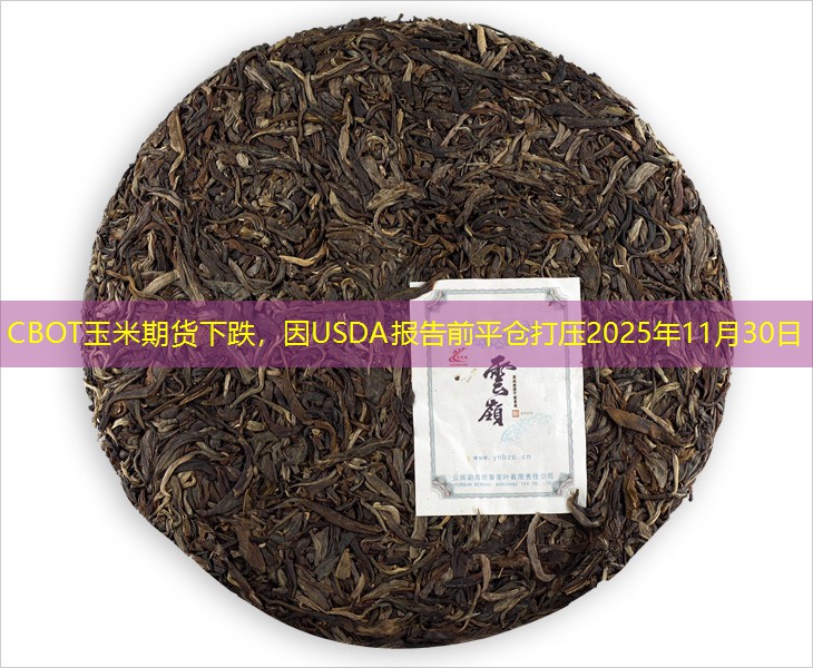 CBOT玉米期货下跌，因USDA报告前平仓打压2025年11月30日