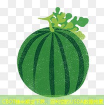 CBOT糙米期货下跌，因利空的USDA数据拖累