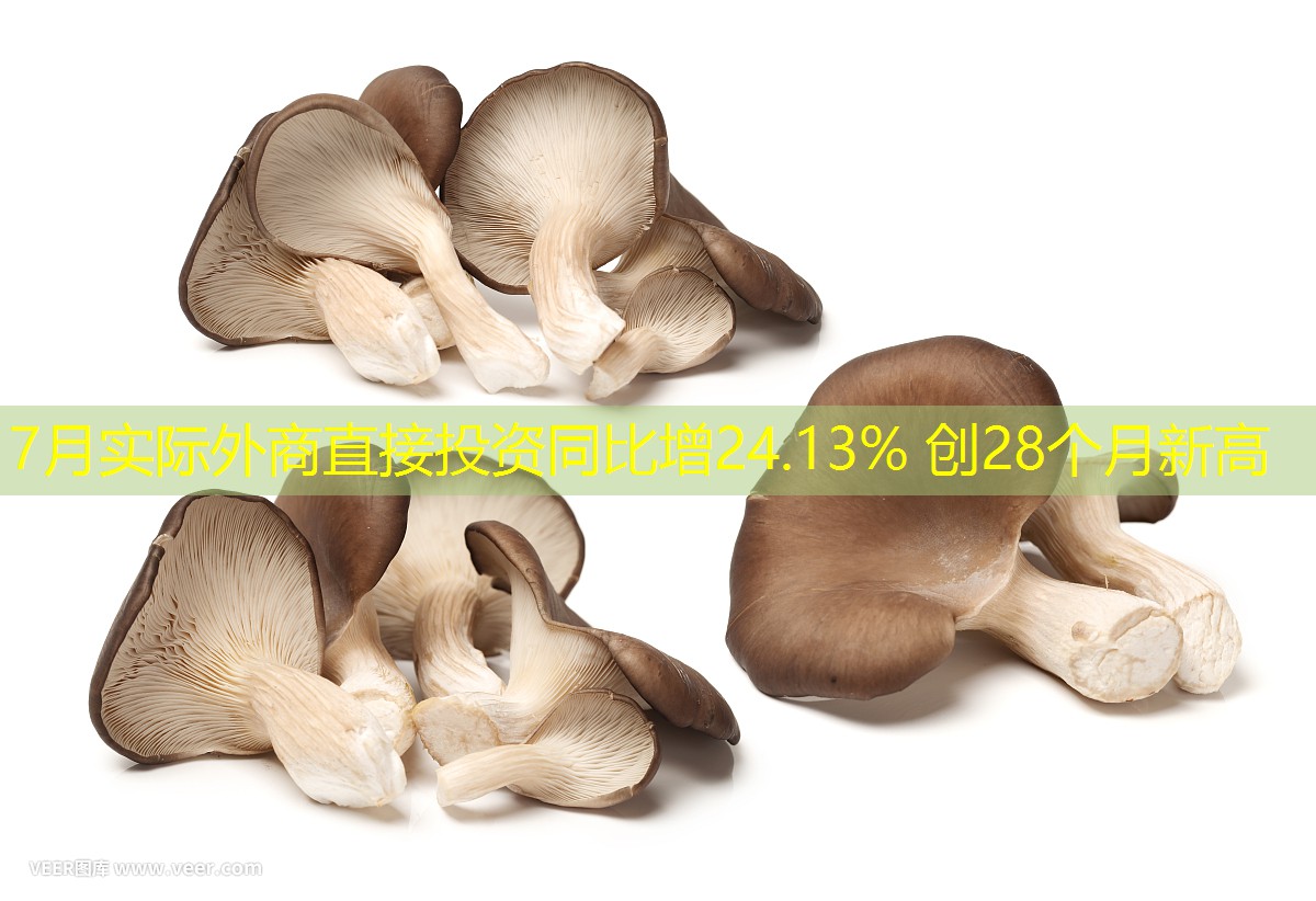7月实际外商直接投资同比增24.13% 创28个月新高