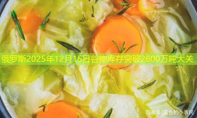 俄罗斯2025年12月15日谷物库存突破2600万吨大关