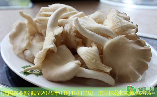 [美国农业部]截至2025年03月15日当周，美国棉花收割率为28%