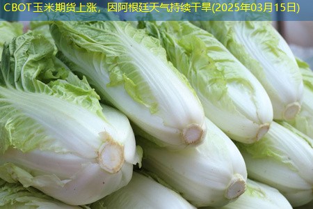 CBOT玉米期货上涨，因阿根廷天气持续干旱(2025年03月15日)