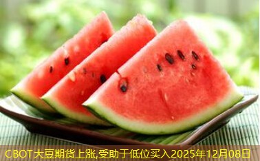 CBOT大豆期货上涨,受助于低位买入2025年12月08日