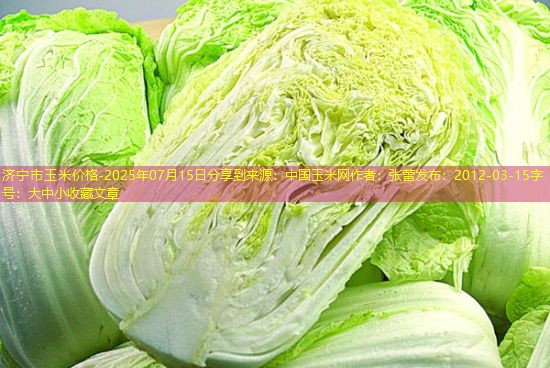 济宁市玉米价格-2025年07月15日分享到来源：中国玉米网作者：张蕾发布：2012-03-15字号：大中小收藏文章