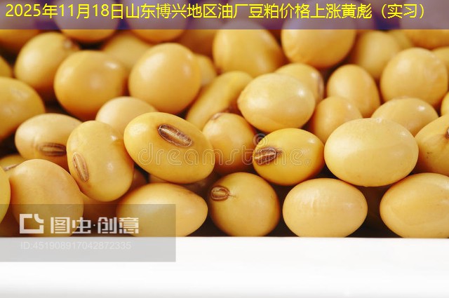 2025年11月18日山东博兴地区油厂豆粕价格上涨黄彪（实习）