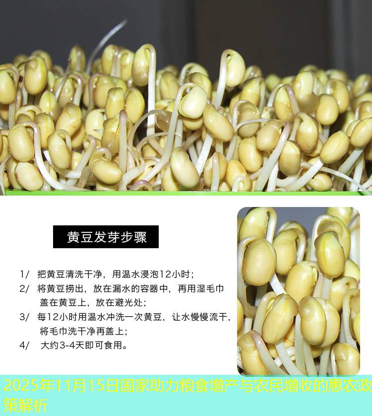 2025年11月15日国家助力粮食增产与农民增收的惠农政策解析