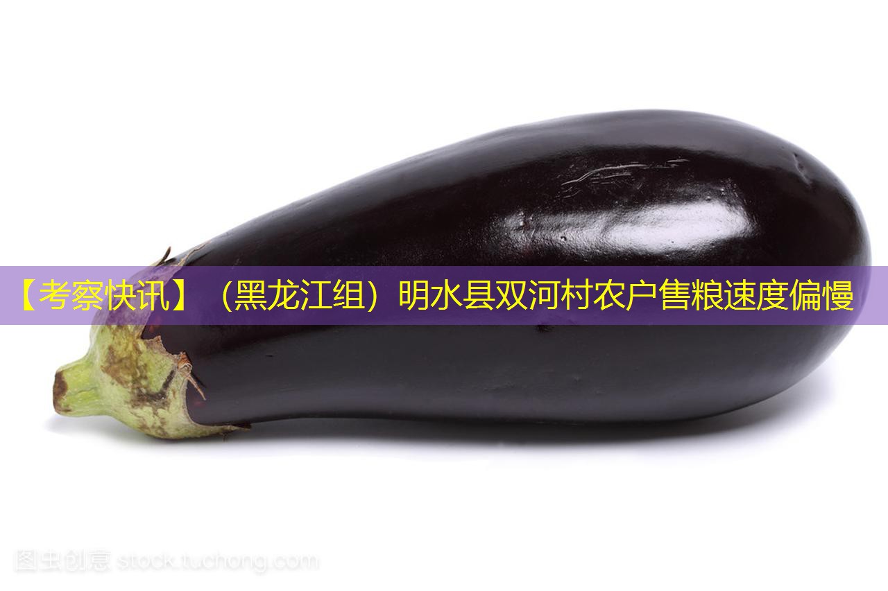 【考察快讯】（黑龙江组）明水县双河村农户售粮速度偏慢