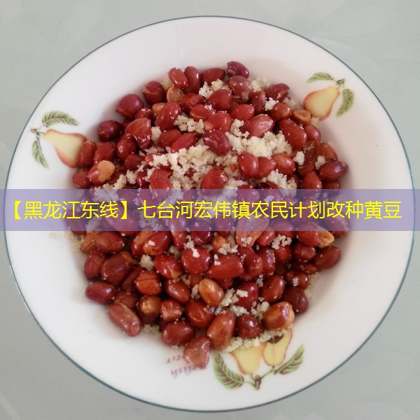 【黑龙江东线】七台河宏伟镇农民计划改种黄豆