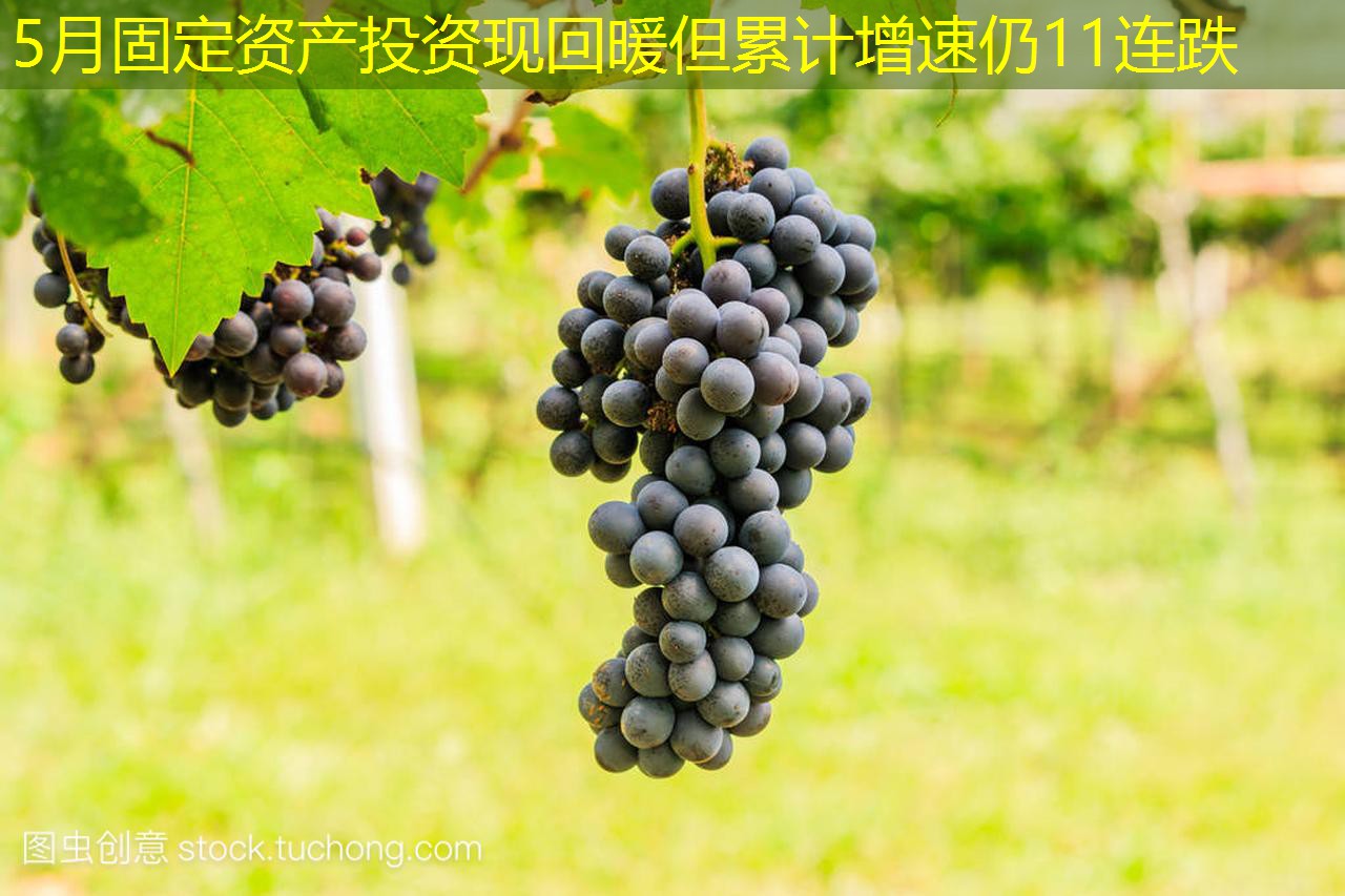 5月固定资产投资现回暖但累计增速仍11连跌