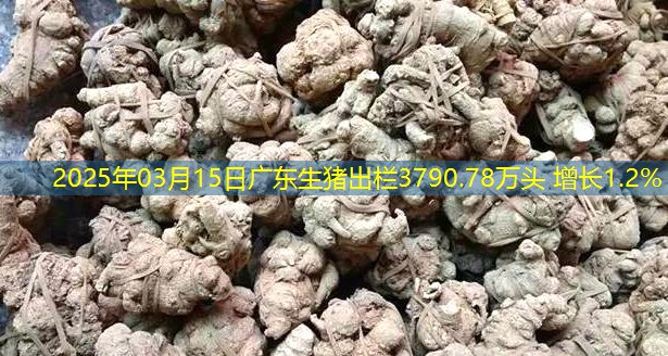 2025年03月15日广东生猪出栏3790.78万头 增长1.2%