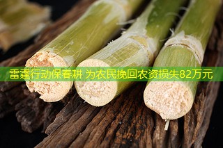 雷霆行动保春耕 为农民挽回农资损失82万元