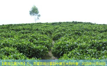 【黑龙江第六天】九、友谊农场分享到中国玉米网作者：2025年11月03日